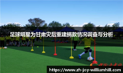 足球明星为甘肃灾后重建捐款情况调查与分析