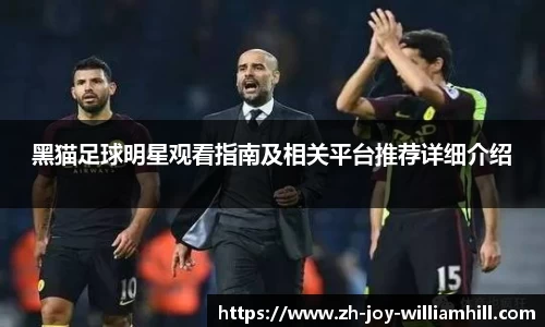 黑猫足球明星观看指南及相关平台推荐详细介绍