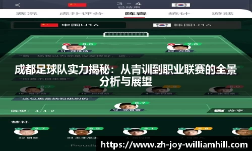 成都足球队实力揭秘：从青训到职业联赛的全景分析与展望